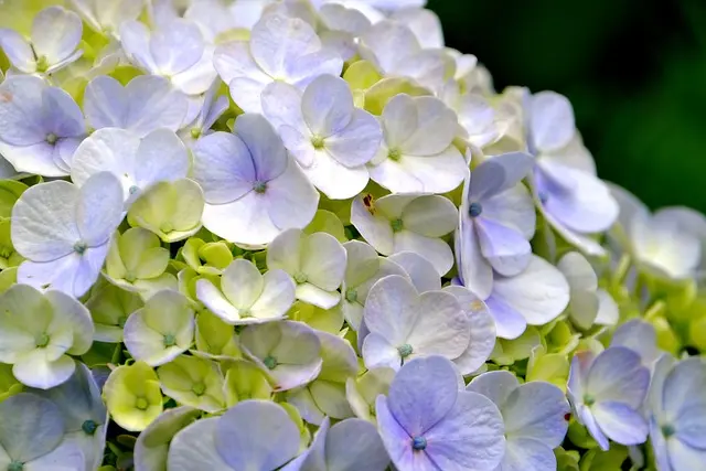 10 Easy DIY Ideas for Enhancing Your Garden Space