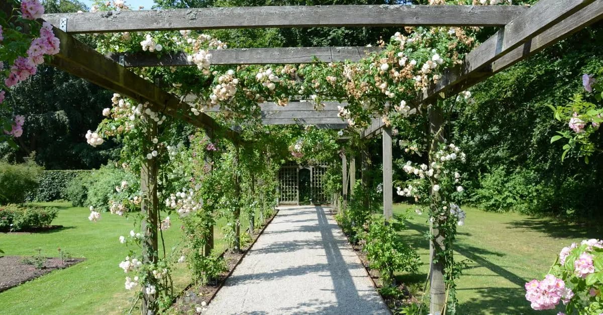 Comment créer un jardin vertical DIY facilement