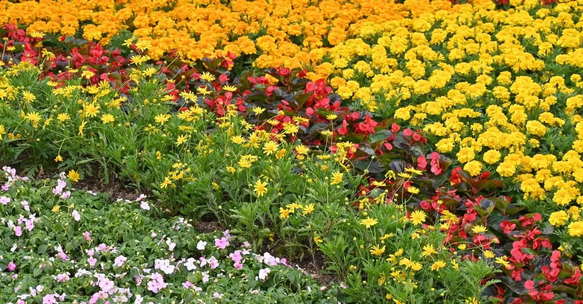 10 Easy DIY Ideas to Transform Your Garden Space