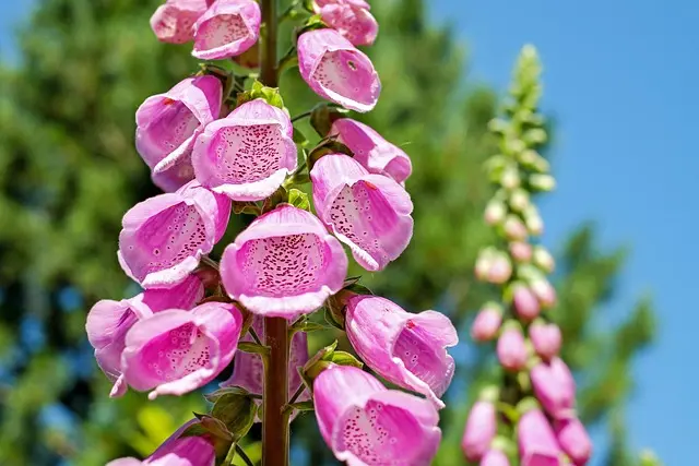 10 Easy DIY Ideas to Brighten Up Your Outdoor Space