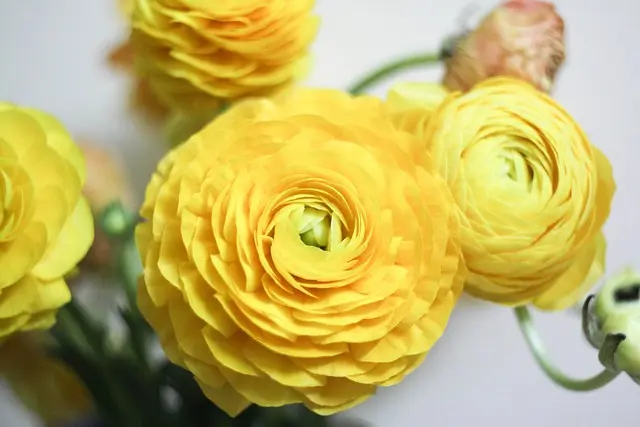 10 Easy DIY Ideas for Personalising Your Garden Space