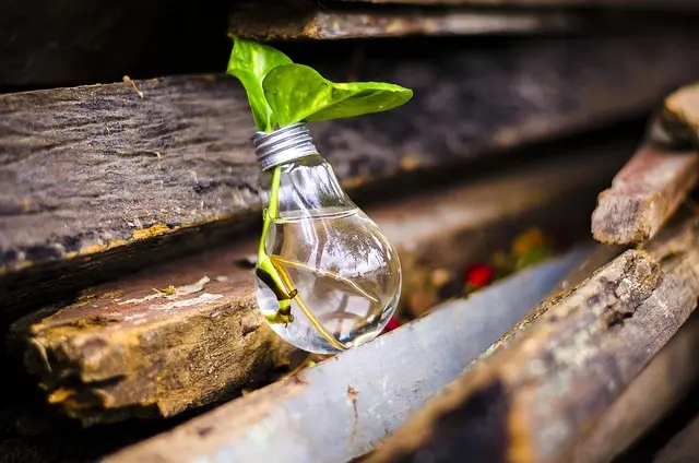 10 Creative DIY Ideas for Upcycling Household Items