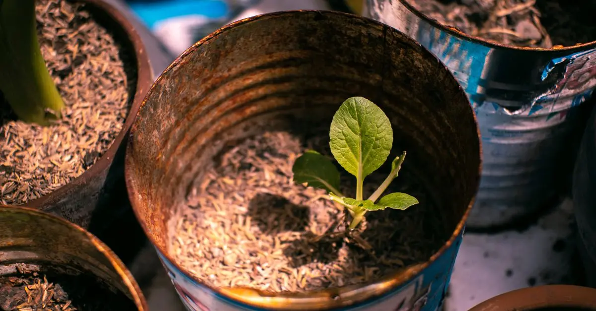 Comment réaliser un jardin vertical DIY avec des matériaux recyclés