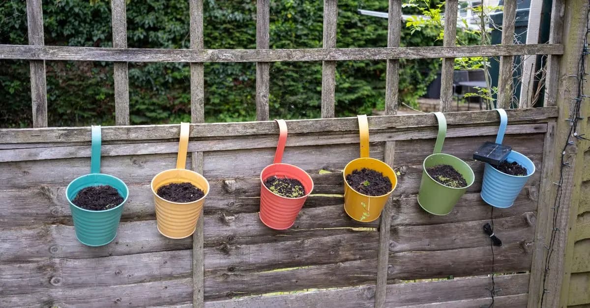 10 Idées DIY Faciles pour Rénover Votre Jardin