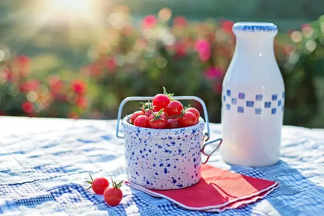 Eco-Friendly DIY Projects: 10 Creative Ideas to Try