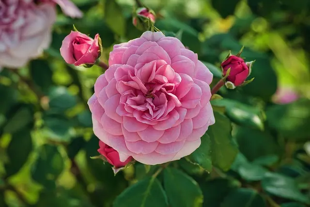 10 idées DIY faciles pour décorer votre jardin avec style