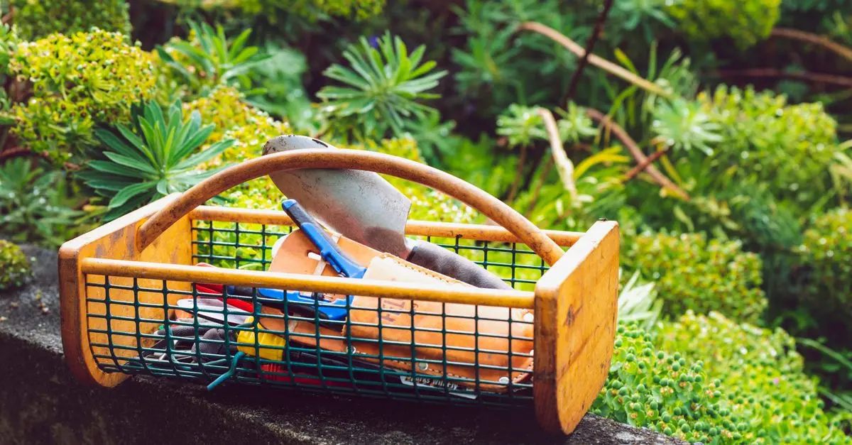 10 astuces pour réussir vos projets de jardinage DIY