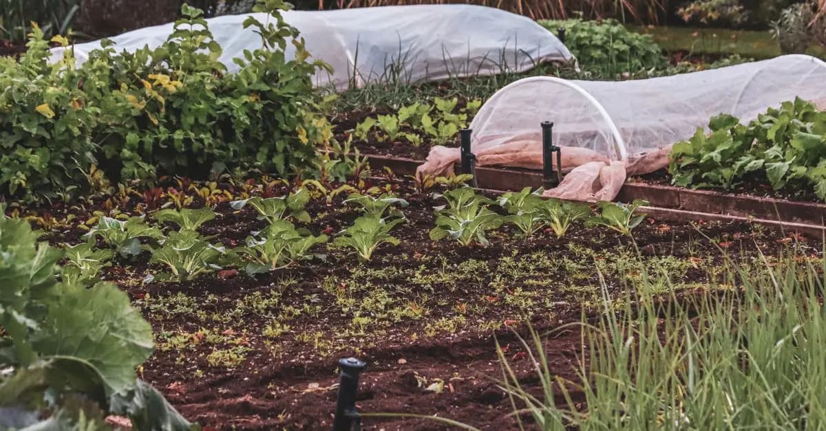 10 Easy DIY Ideas to Enhance Your Garden Spaces