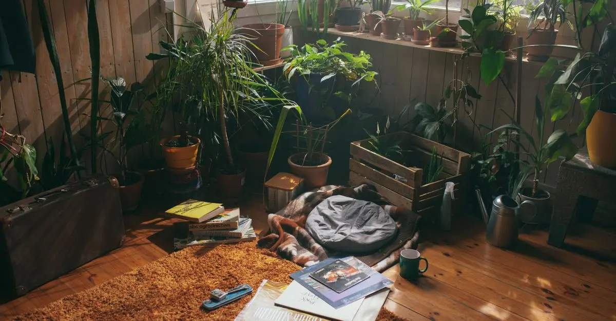 Comment créer un jardin vertical DIY avec des matériaux recyclés