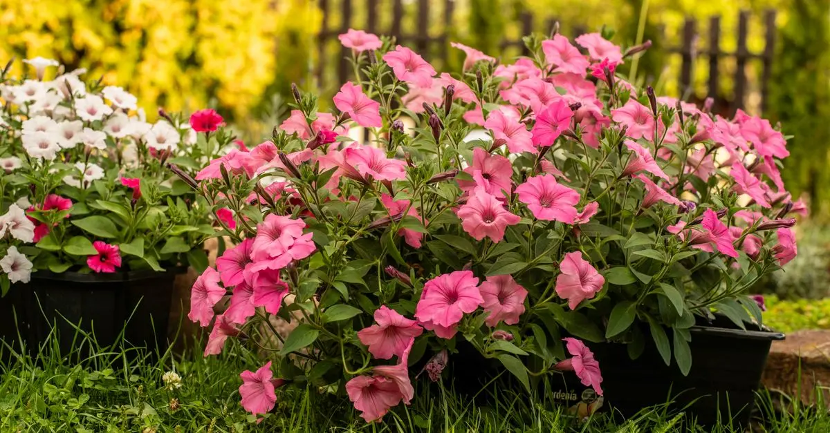 Comment créer un jardin vertical DIY avec des matériaux recyclés