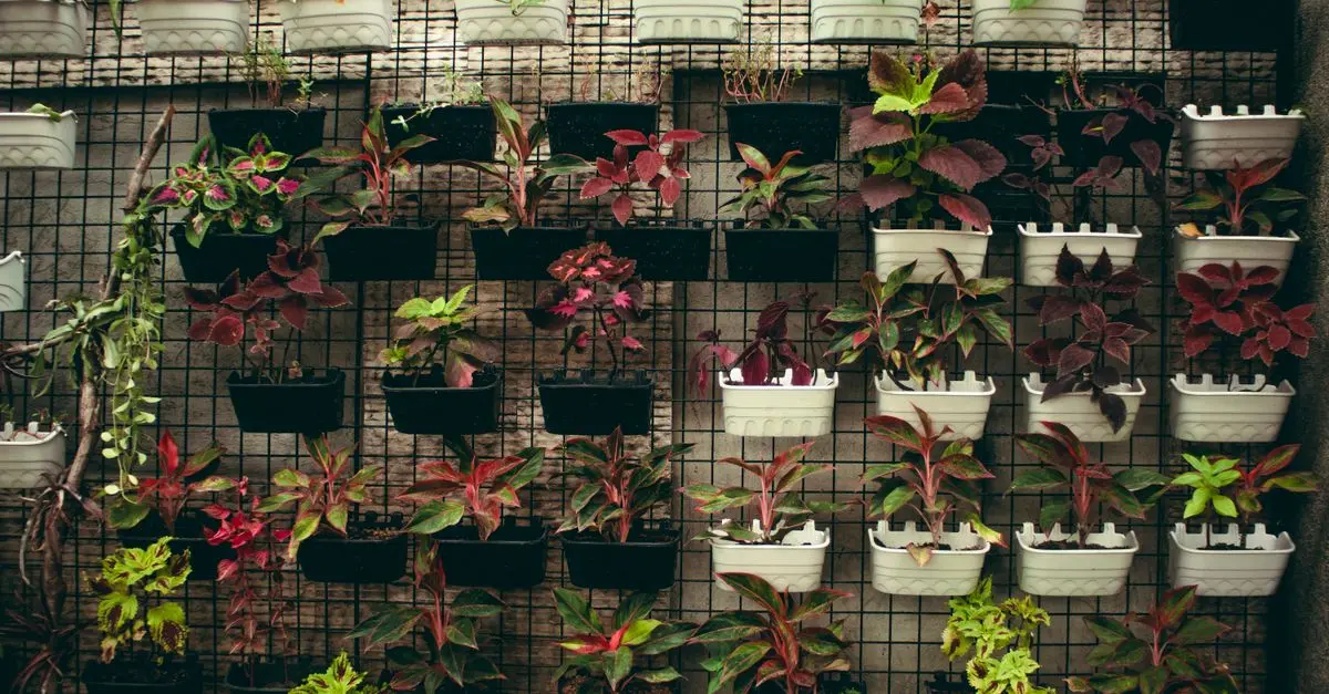 Guide pratique pour réussir votre projet DIY de jardin vertical