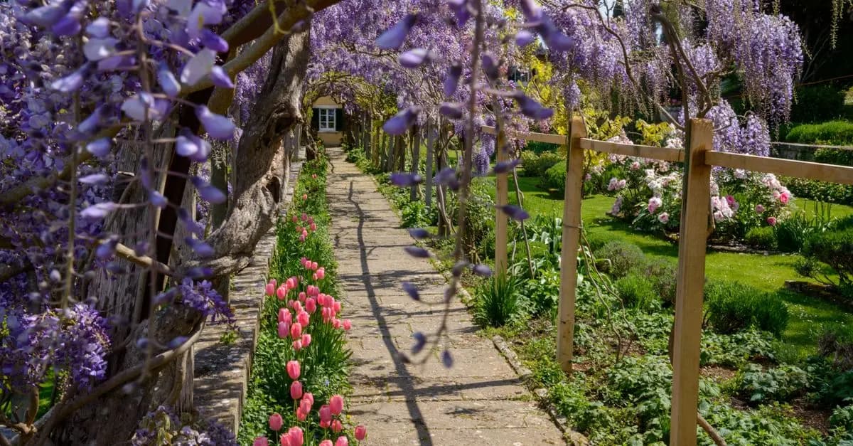 How to Create Stunning DIY Garden Features