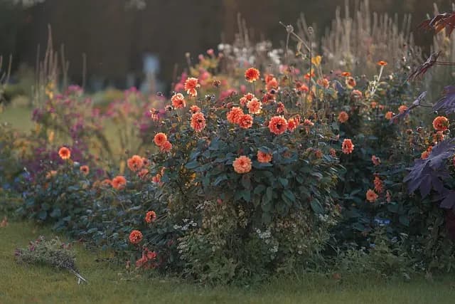 10 Easy DIY Ideas to Personalise Your Garden Space