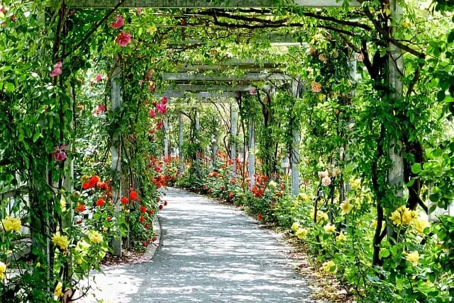 5 idées DIY pour embellir votre jardin avec style