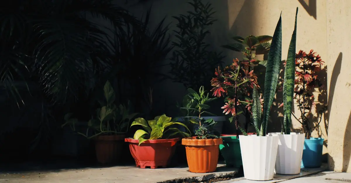 10 Easy DIY Ideas to Enhance Your Garden Spaces