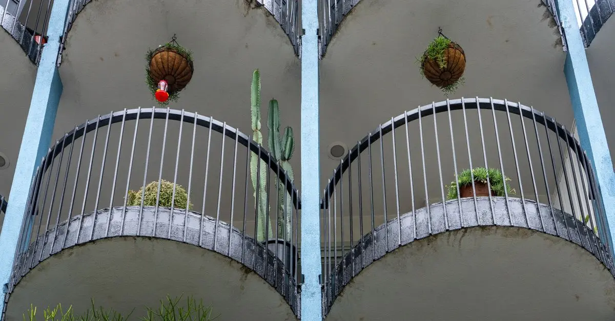 Comment créer un jardin vertical DIY facilement