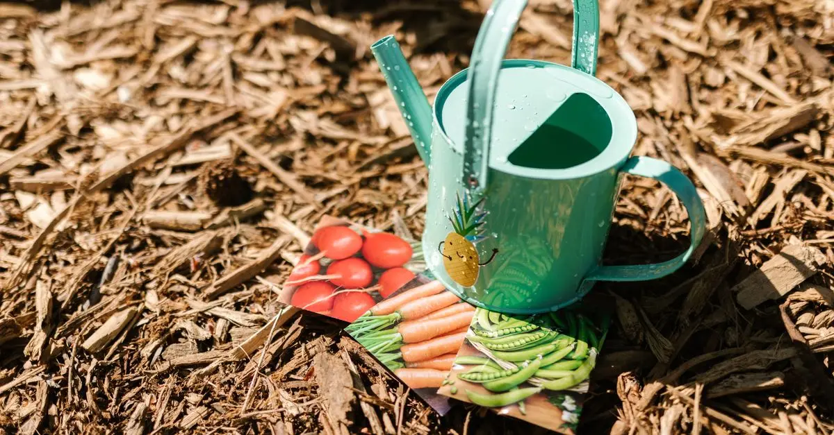 5 projets DIY pour un jardin cosy