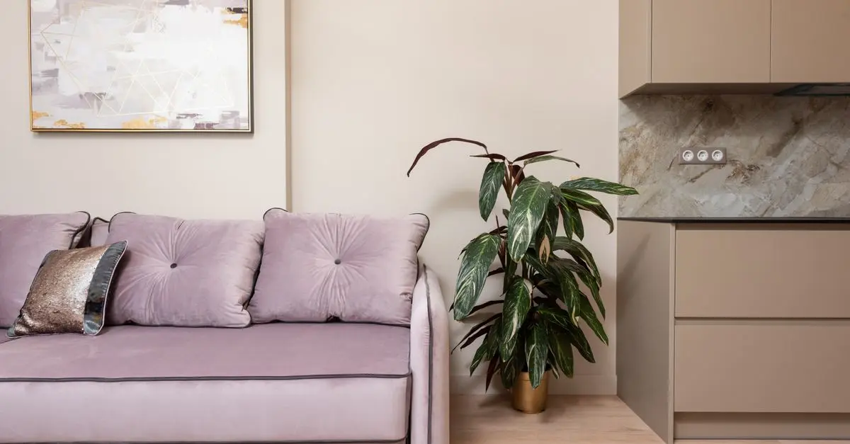 Décorer un appartement en location avec des DIY faciles
