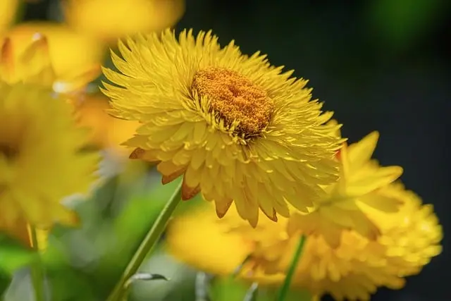 10 Easy DIY Ideas to Brighten Up Your Outdoor Space