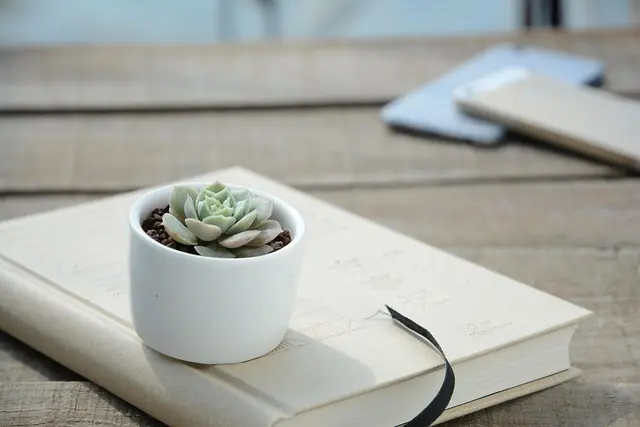 10 idées DIY faciles pour créer un jardin vertical chez soi