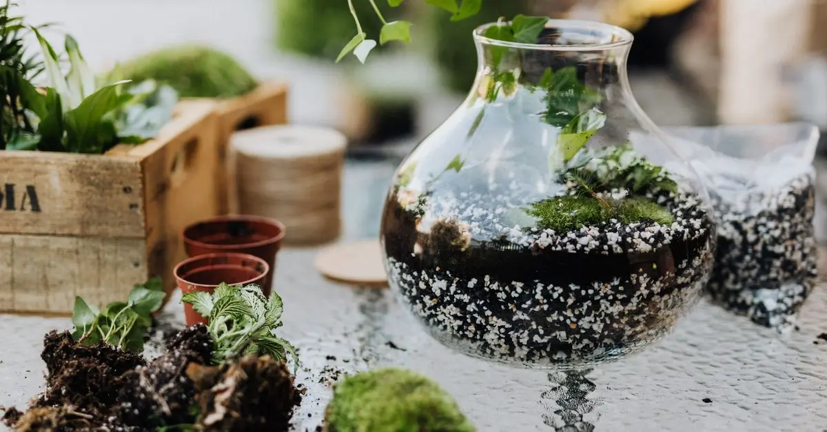 10 DIY Idées Faciles pour Embellir Votre Jardin