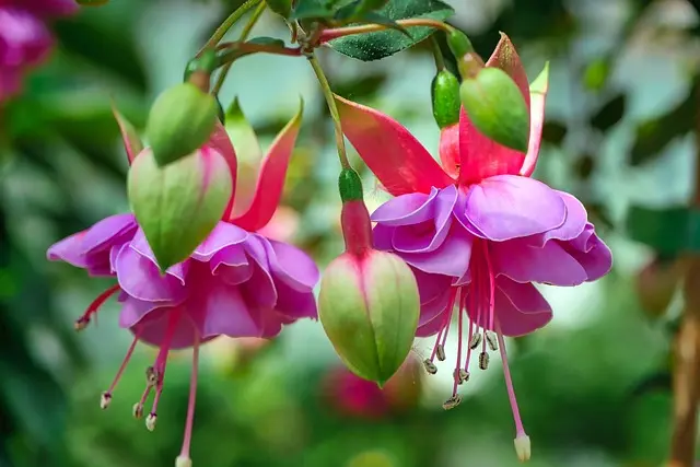 10 Easy DIY Ideas for Creating Stunning Garden Decor