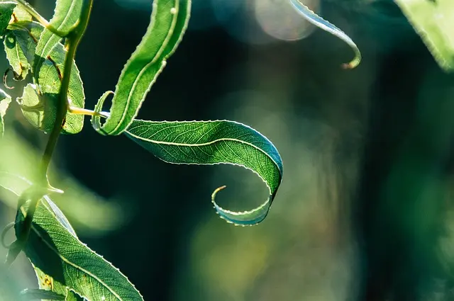 10 Easy DIY Ideas for Refreshing Your Garden Decor