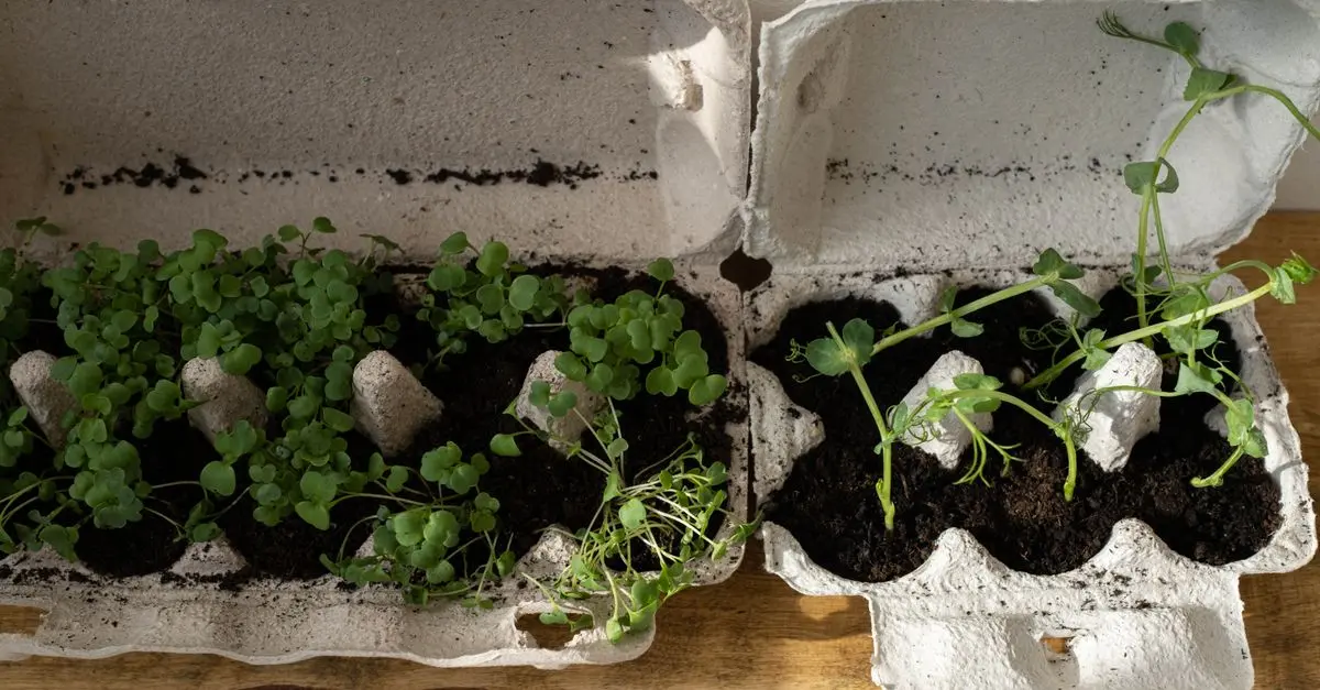 10 Easy DIY Ideas for Transforming Your Garden