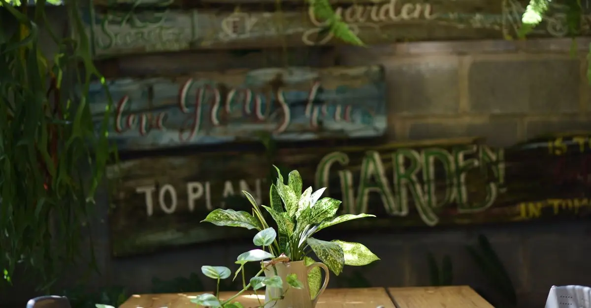10 Easy DIY Ideas for Creating Stunning Garden Decor