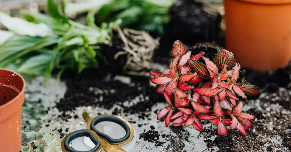 10 Easy DIY Ideas to Spruce Up Your Garden This Season