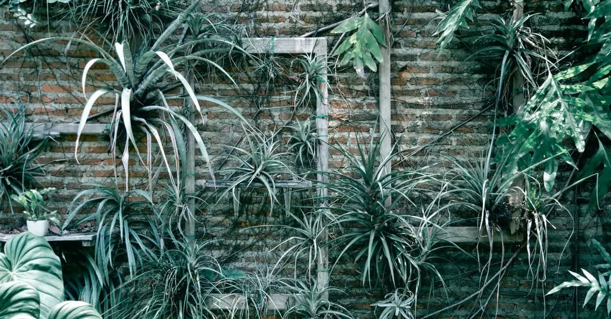 10 idées DIY pour un jardin vertical à la maison