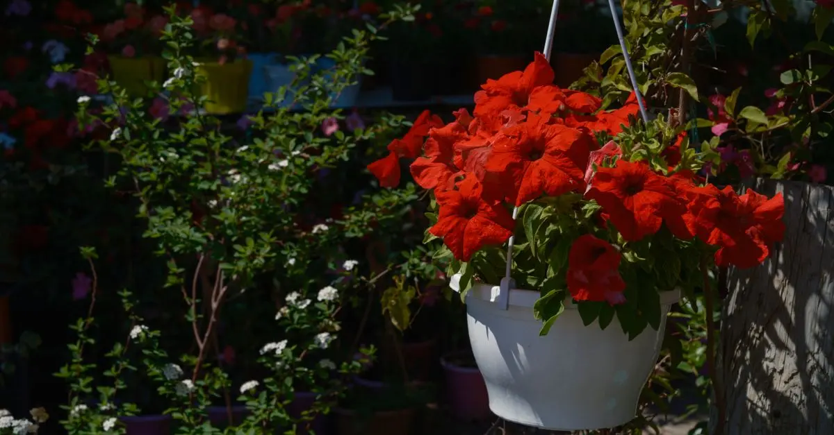 10 Easy DIY Ideas for Creating Stunning Garden Decor