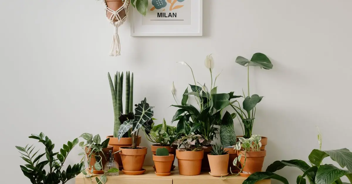 10 Timeless DIY Ideas to Revamp Your Home Decor