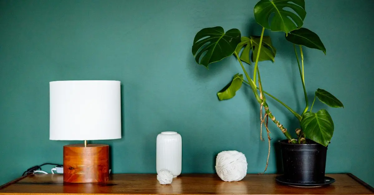 Easy DIY Ideas for Home Decor That Anyone Can Try