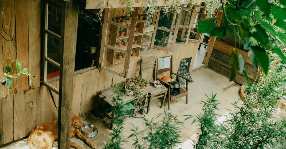 Comment créer un jardin vertical DIY: guide pratique étape par étape