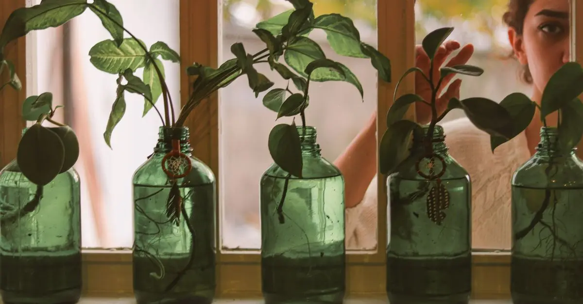 10 Easy DIY Ideas for Sustainable Home Decor