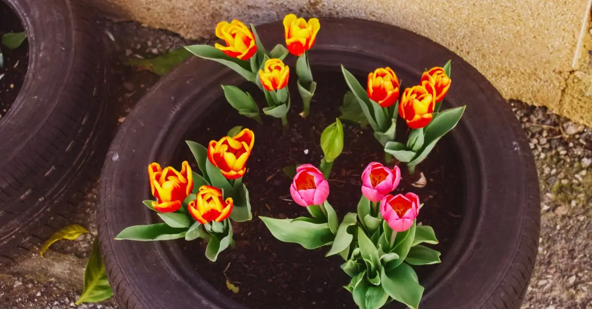 10 Easy DIY Ideas to Refresh Your Garden