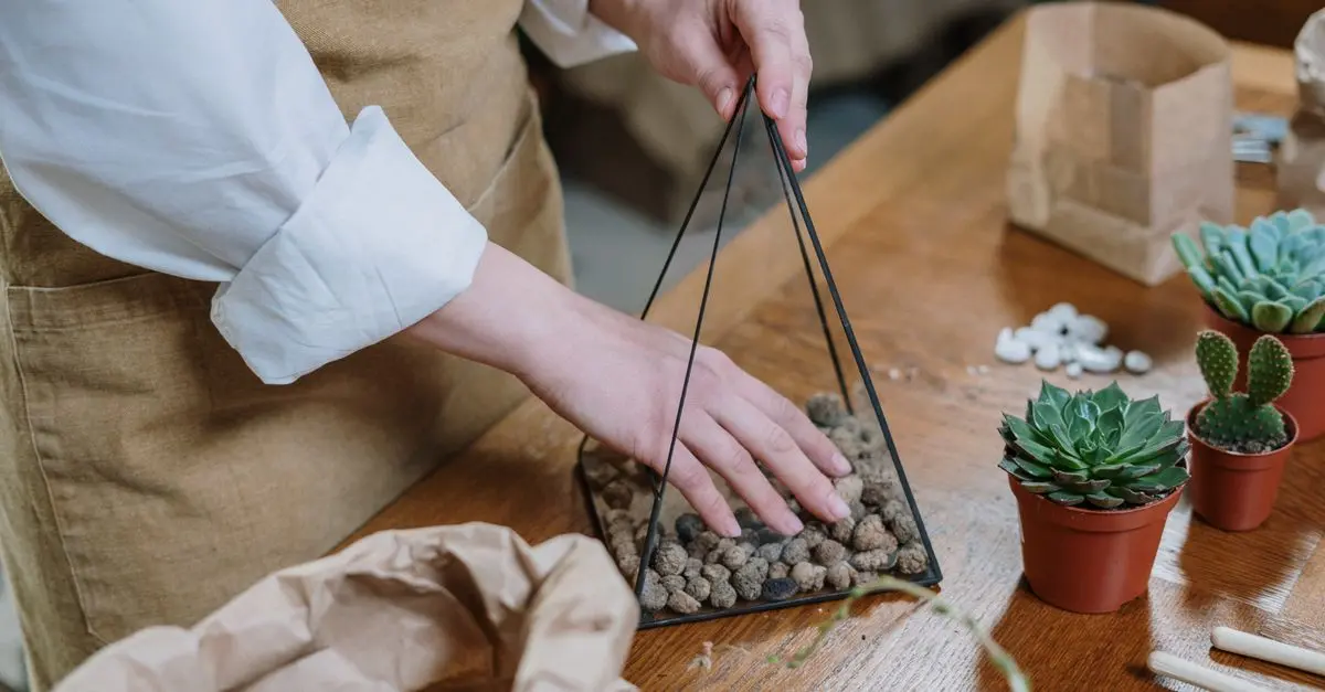 Fabriquer un terrarium DIY pour plantes grasses