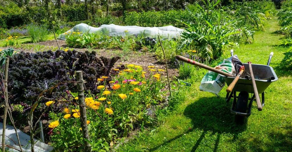 Comment créer un jardin vertical DIY: Guide étape par étape