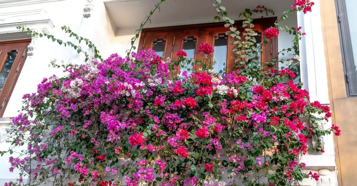 Les meilleures idées DIY pour un jardin vertical réussi