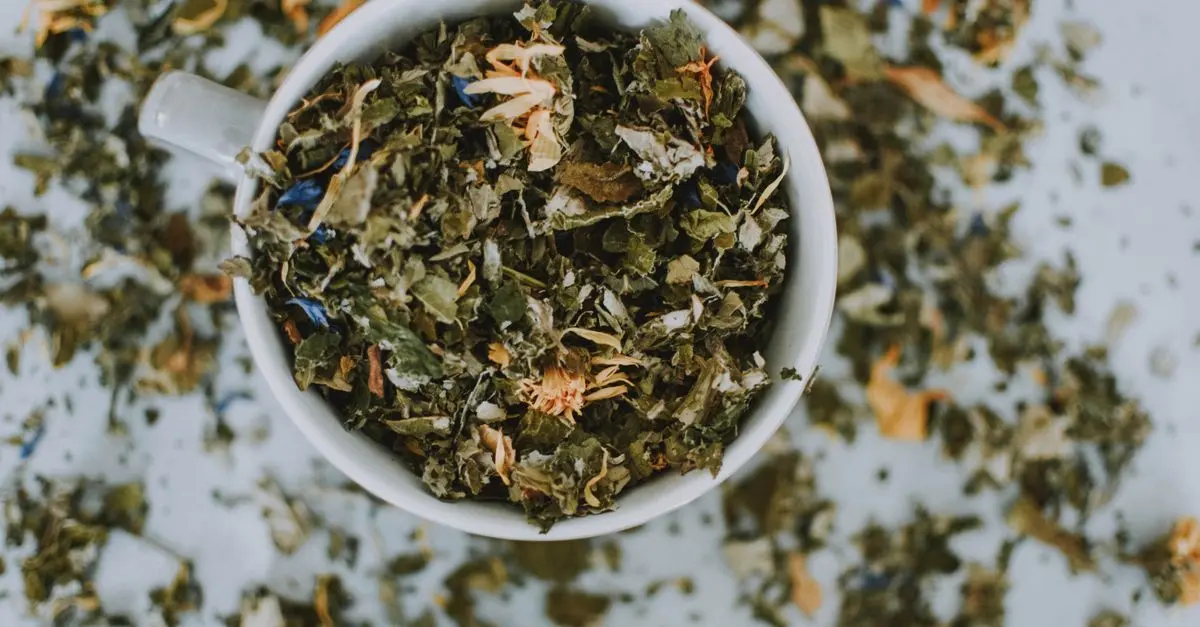 Healthy Living: DIY Herbal Teas to Try