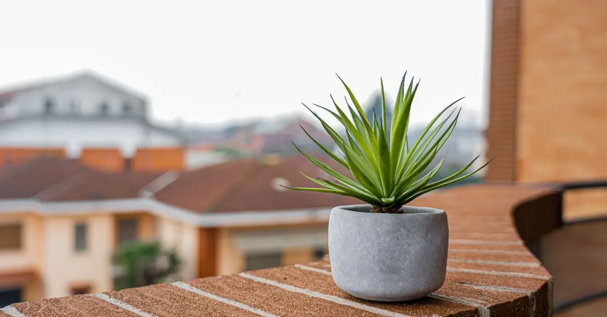 10 Easy DIY Ideas for Decorating Your Balcony