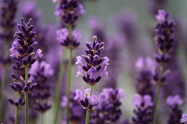 10 Creative DIY Ideas to Brighten Up Your Garden