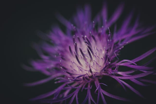 10 idées DIY faciles pour perfectionner votre jardin