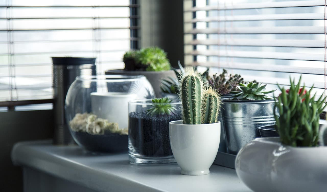 10 Easy DIY Indoor Plant Projects to Liven Up Your Home