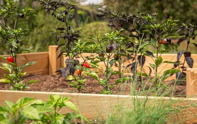 10 Easy DIY Ideas to Transform Your Garden Space