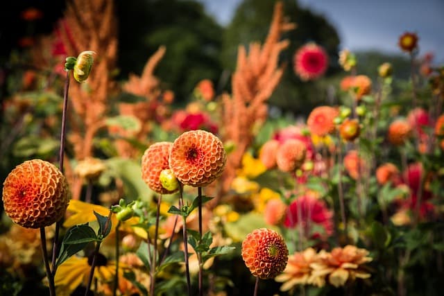 10 Easy DIY Ideas for Revamping Your Garden Space