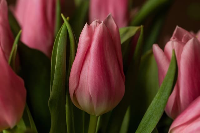 10 Easy DIY Ideas for Transforming Your Garden Spaces