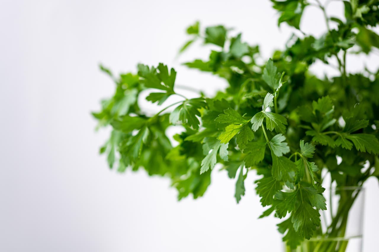 How to Create a Beautiful DIY Herb Garden at Home