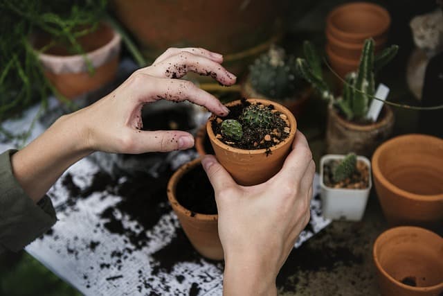 10 Creative Easy DIY Ideas to Enhance Your Garden Decor